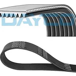 DAYCO 7PK1569 - Keilrippenriemen Highlight