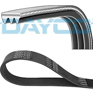 Begrenztes Angebot DAYCO 3PK800S - Keilrippenriemen