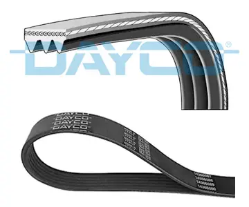 Begrenztes Angebot DAYCO 3PK800S - Keilrippenriemen
