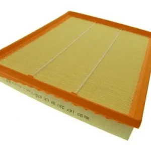 AUTOMEGA 180031610 - Luftfilter Direktkauf