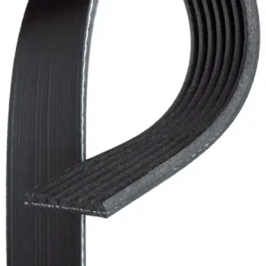 GATES 7PK1558 - Keilrippenriemen - Micro-V Markenprodukt