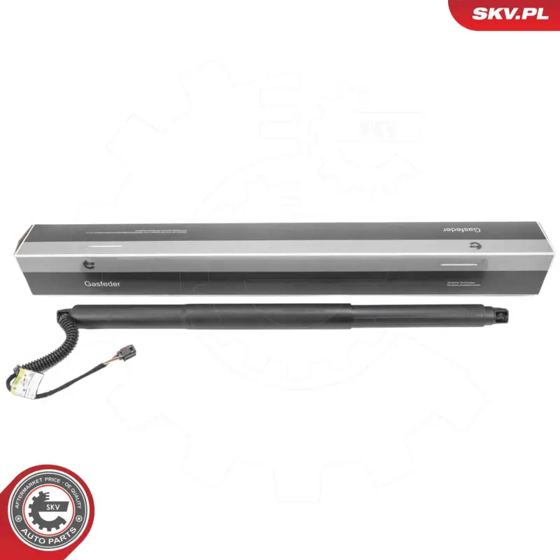 ESEN SKV 52SKV197 - Elektromotor, Heckklappe Neu