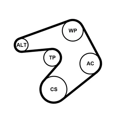 CONTINENTAL CTAM 6PK1244K1 - Keilrippenriemensatz Garantierte Lieferung