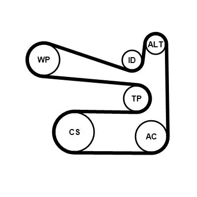 CONTINENTAL CTAM 6PK1693WP1 - Wasserpumpe + Keilrippenriemensatz Schnäppchen