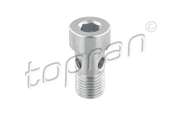Geprüft TOPRAN 118 522 - Hohlschraube, Lader